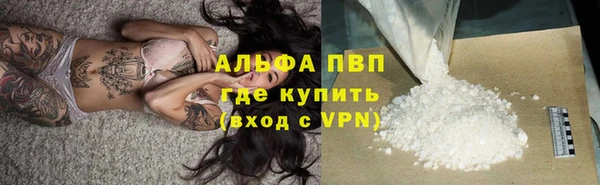 гашик Заволжск