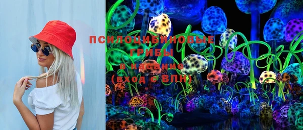 тгк Заводоуковск