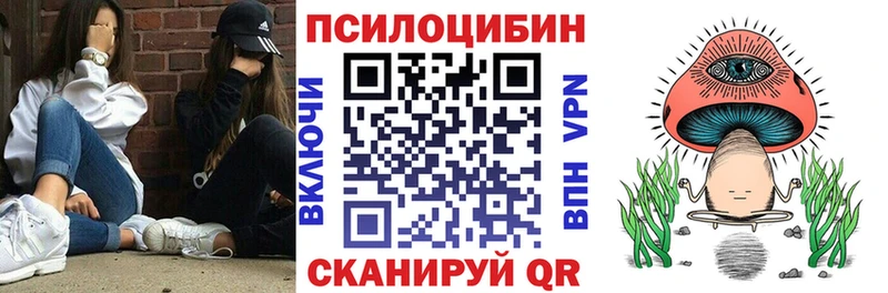 Купить где  Черноголовка  Галлюциногенные грибы MAGIC MUSHROOMS 
